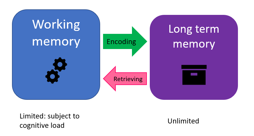 Figure 1, adapted from Brunsman, 2022, shows that working memory, which is limited, encodes information into long-term memory, which is nearly unlimited. When the information is needed, working memory retrieves it from long-term memory.