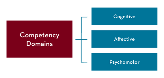 Competency Domains with branches to Cognitive, Affective, and Psychomotor
