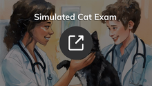 An illustration showing two veterinarians, a man and a woman, examining a black cat, with the text 'Simulated Cat Exam' overlaying the image.